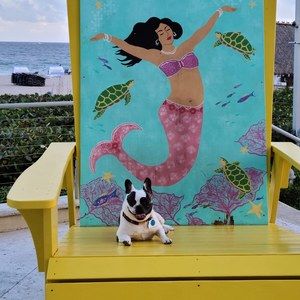 Meet your Posher, Billy